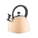 FLORINA Bouilloire BRILLO (2 l) | Bouilloire en acier