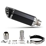 FPQOVV Pot d'échappement de Moto Compatible avec Xmax