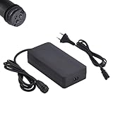 TNLi TEC Chargeur de vélo électrique 42 V 4 A - Remplace