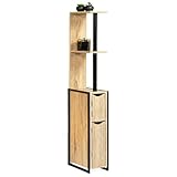 IDMarket - Meuble WC 2 portes DETROIT avec étagères