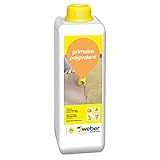 Weber Primaire polyvalent 1 kg, pour améliorer l'adhérence