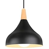 iDEGU Lustre Suspension Rétro Suspension Luminaire