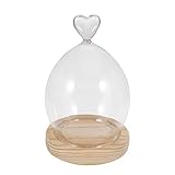 Amosfun Affichage en Verre Dôme Cloche Fleur Séchée