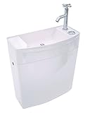 Wirquin 50720090 Réservoir d'eau pour wc Iseo en plastique