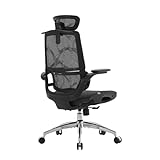 SIHOO M59AS Chaise de Bureau Ergonomique, avec accoudoirs