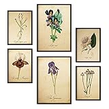 Nacnic Ensemble de 6 affiches de fleurs vintage. Collection