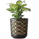 KONZEPT Pot de fleurs de 25 cm de diamètre, grand pot