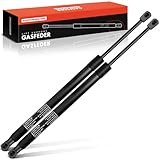 Frankberg 2x Ressorts à Gaz Hayon Compatibles avec