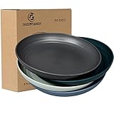 Greentainer Lot de 4 grandes assiettes de 25,3 cm en