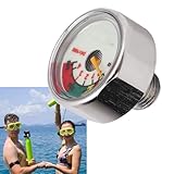 Manomètre de Bouteille de Poney, Manomètre de Réservoir