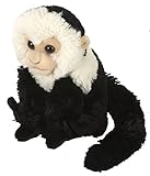 WILD REPUBLIC Cuddlekins Mini Capucin Singe, Animal