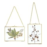 SUMTree Lot de 2 cadres photo en verre et métal, cadre