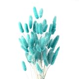 JKDHJK 50 Pcs Herbe De La Pampa Fleurs Séchées Ne Se