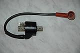 Unbekannt Bobine d'allumage Cagiva Roadster