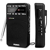 Radio Portable, PRUNUS J-166 AM(MW)/FM Petite Radio