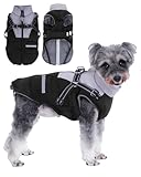 Manteau Chien Hiver Imperméable avec Harnais pour Petits,