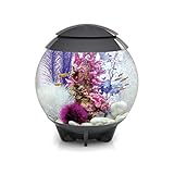 biOrb HALO 30 LED Aquarium en gris