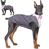 Hjyokuso Costume De Smoking pour Chien De Petite Et