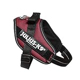 Julius-K9, Harnais IDC Power, Taille: Mini, Bordeaux