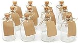 casavetro Lot de 24 x 50 ML Petites Mini Bouteilles