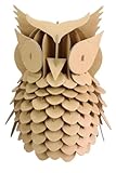 MegaCrea DIY Maquette en Carton à Assembler Hibou 20