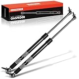 Frankberg 2x Ressorts à Gaz Hayon Compatibles avec