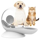 OldPAPA Distributeur d'eau pour Chien, Abreuvoir à