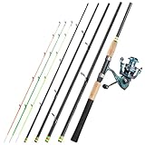 Sougayilang Feeder Canne à pêche portable avec 3 pointes