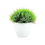 Plantes artificielles Plantes artificielles bonsaï