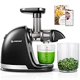 AMZCHEF Extracteur Jus - Extracteur de Jus de Fruits