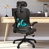 LEVIPE Chaise de Bureau - Ergonomique avec Support