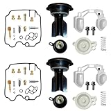 JAYWIS Kit De Réparation De Carburateur pour Moto pour