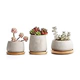 T4U Pots de Succulent Cactus en Ciment avec Plateau