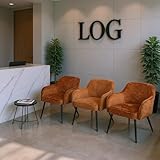 Meuble Cosy Chaise d’Accueil Confortable en Tissu Chenille,