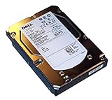 Dell ST3300657SS Disque Dur Interne 300 Go SAS 15K