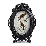 SIKOO Cadre photo décoratif de 10,2 x 15,2 cm, cadre