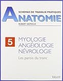 Myologie, angéiologie, névrologie. Les parois du tronc