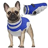 Manteau d'hiver Imperméable pour Chien, Veste Réglable