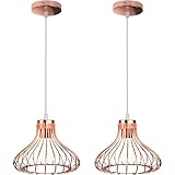 iDEGU Lot de 2 Suspension Luminaire Industrielle Lustre
