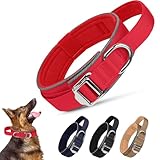 Ledeak Collier Chien Tactique, Réglable Nylon Collier