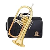 AUROSUS SFH-8336 TRIGGER FLUGELHORN AVEC 3RD VALVE