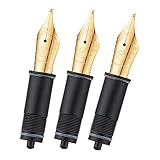 Asvine Stylo plume 3 pcs plumes remplacées, 6 plumes