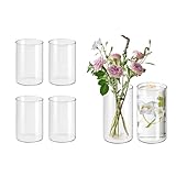 Lot de 6 vases cylindriques en Verre pour Les décorations