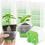 KAHEIGN 24 Pièces Pots de Pépinière Transparents avec