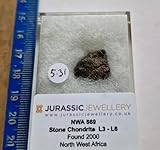 Jurassic Jewellery NWA 869 Stone Chondrite Meteorite