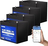 DCHOUSE Lot de 4 Batteries LiFePO4 12V 100Ah avec Bluetooth