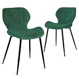 CangLong Lot de 2 chaises de Salle à Manger Chaises