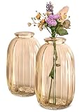 Praknu Petits Vases Décoratifs - Lot de 6 - Style Vintage