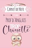 Prof d'Anglais trop chouette: Carnet de notes ligné