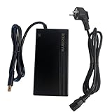 HANERIDE Bafang Chargeur 43 V (49,2 V) 2 A, batterie